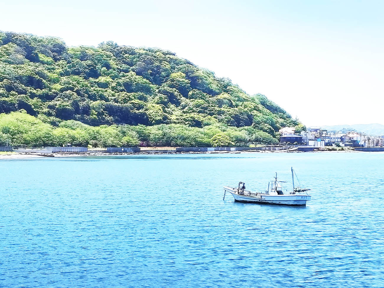 加世浦港より出航！！遊漁船「海坊主丸・光栄丸」画像