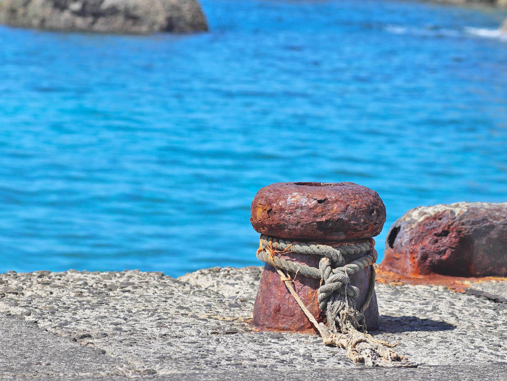 遊漁船ご利用の流れ画像