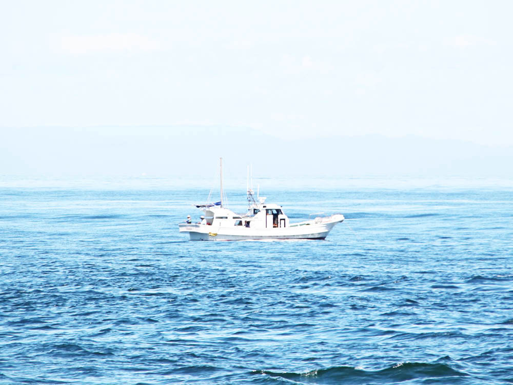 遊漁船ご利用の流れ画像