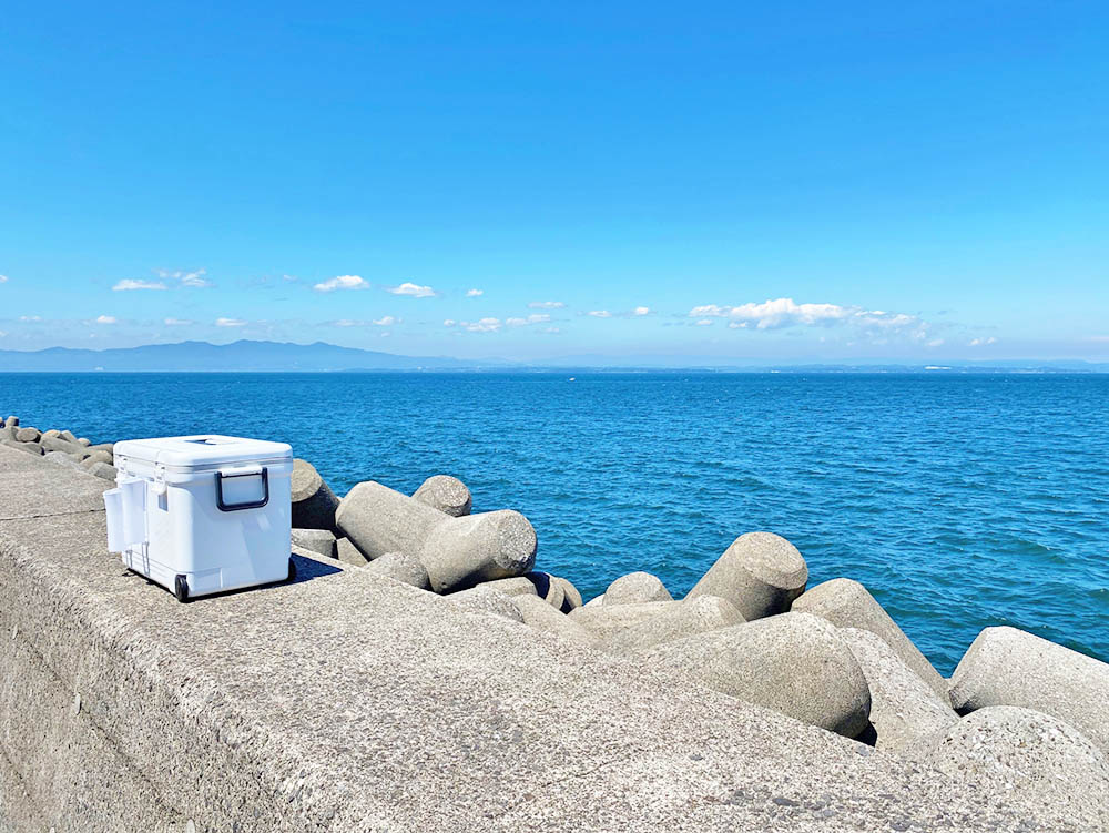 遊漁船ご利用の流れ画像